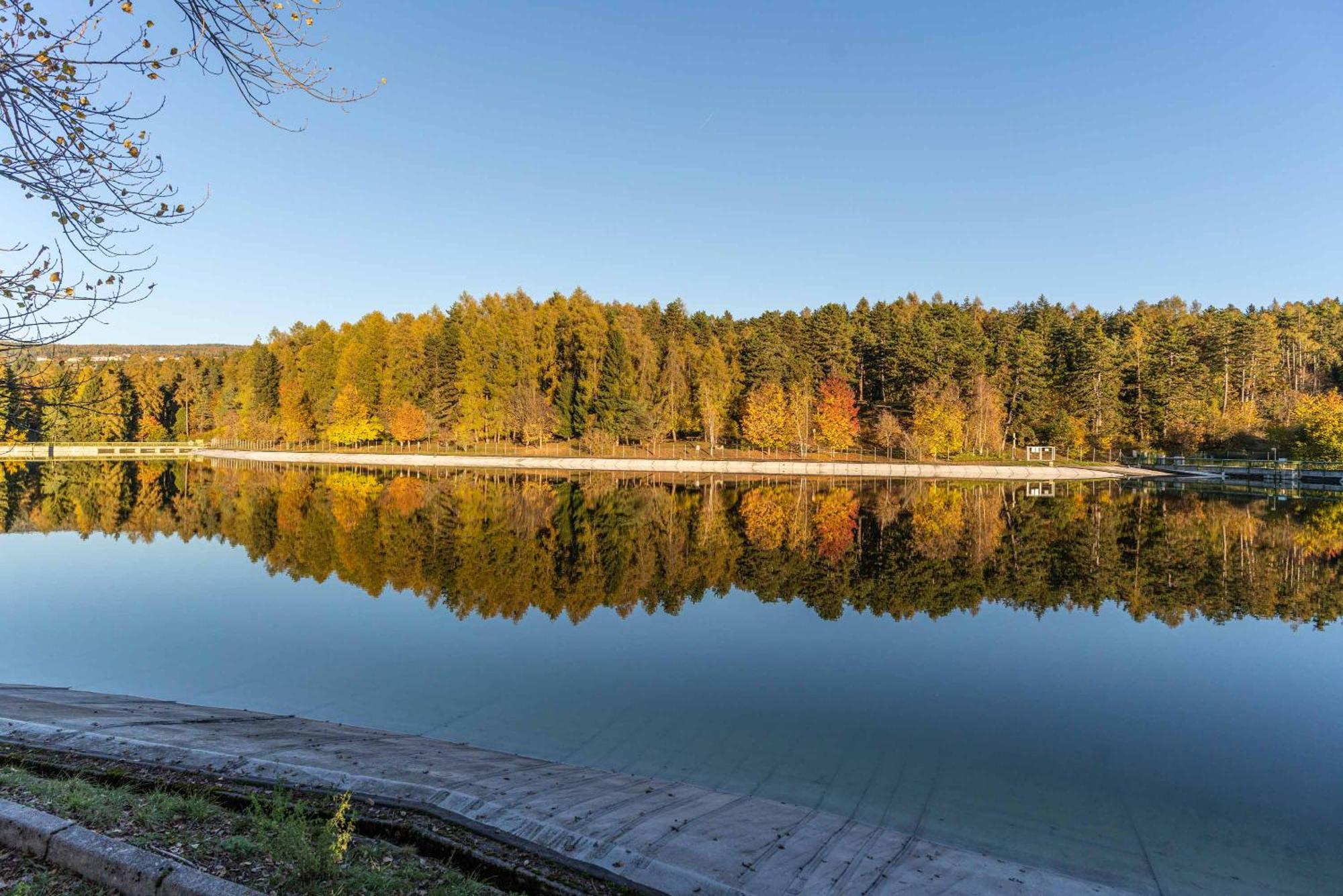 La Villa Del Barone Predaia Exteriör bild